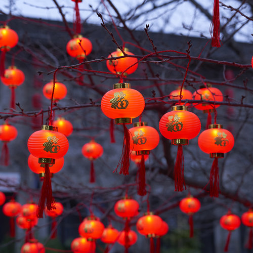 太阳能红灯笼串灯彩灯户外树上庭院小花园过年春节结婚氛围装饰灯