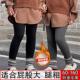胖女童加绒打底裤 子 外穿裤 儿童秋冬加肥加大码 一体绒高腰高弹棉裤