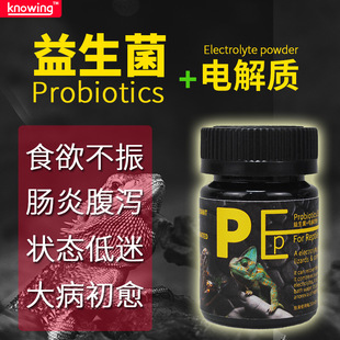 爬宠爬虫益生菌电解质粉陆龟鬃狮蜥蜴守宫拒食拉稀增体力肠胃炎