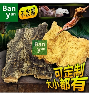 香槟树皮睫角盖勾亚巨人守宫蜘蛛爬虫蜥蜴蛇爬宠垫材用品造景躲避