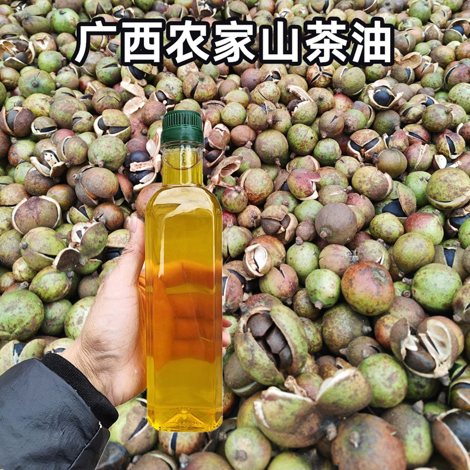 广西农家自榨老山茶油茶小籽茶油物理压榨正宗老树茶籽油250毫升