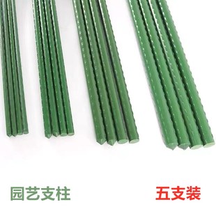 园艺用品庭院种植大棚包塑钢管支柱支架植物瓜果花卉藤蔓爬藤架子