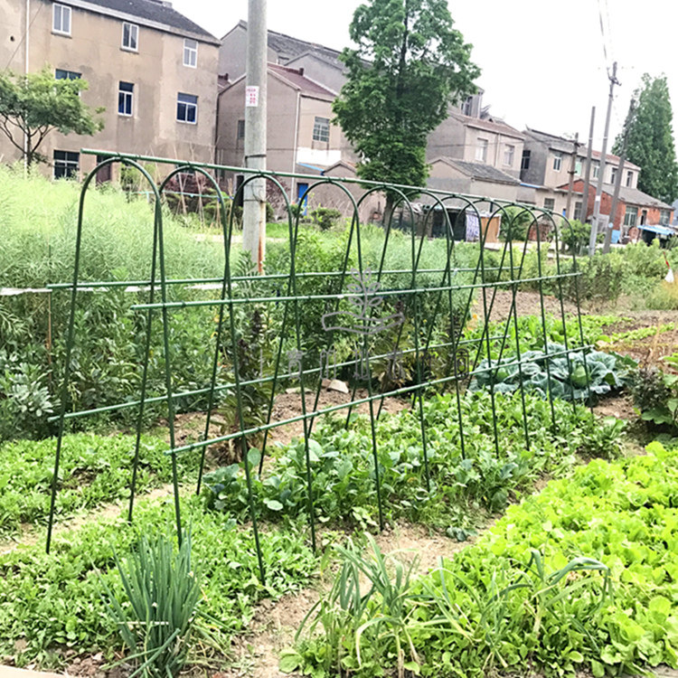 园艺支柱简易植物番茄黄瓜豆角蔓藤爬藤挡雨遮阳棚支架