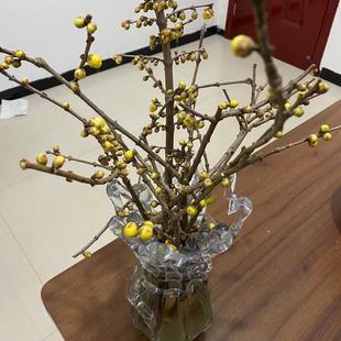 腊梅枝条桃花寸寸金龙游重瓣红梅玉兰北美冬青现剪新鲜花切枝水养