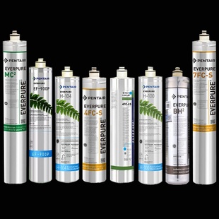 爱惠浦滤芯正品H-100 H-104 PBS-400 MC2 I200024FC-S BH2