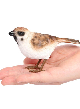 麻雀模型仿真鸟动物sparrow实心塑胶摆件家雀儿童早教认知玩具