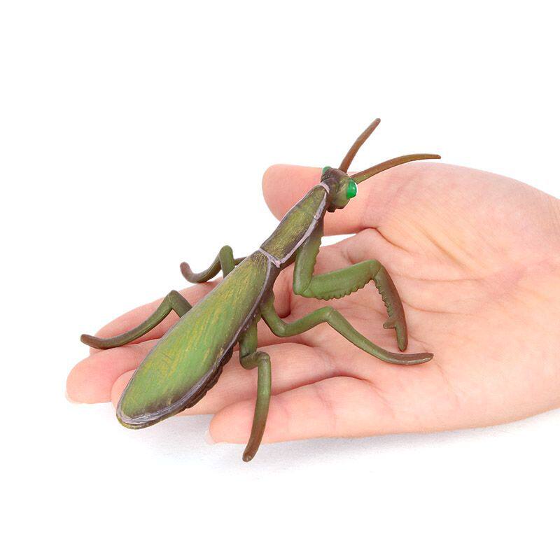 实心大螳螂刀螂蚂蚱儿仿真昆虫动物模型童玩具认知教具摆件手办