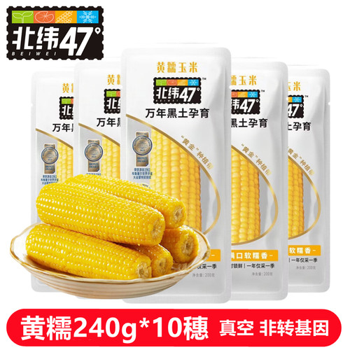 北纬47度黄糯玉米240g*10根非转基因东北黑土地真空包装代餐早餐
