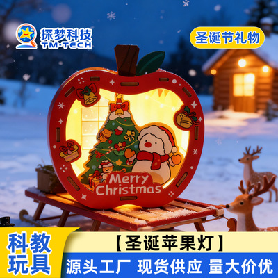 圣诞苹果灯科技小制作steam电路实验玩具创客趣味小夜灯手工材料