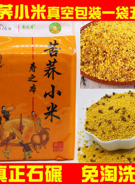 苦荞小米石碾黄小米煮粥真空藁城