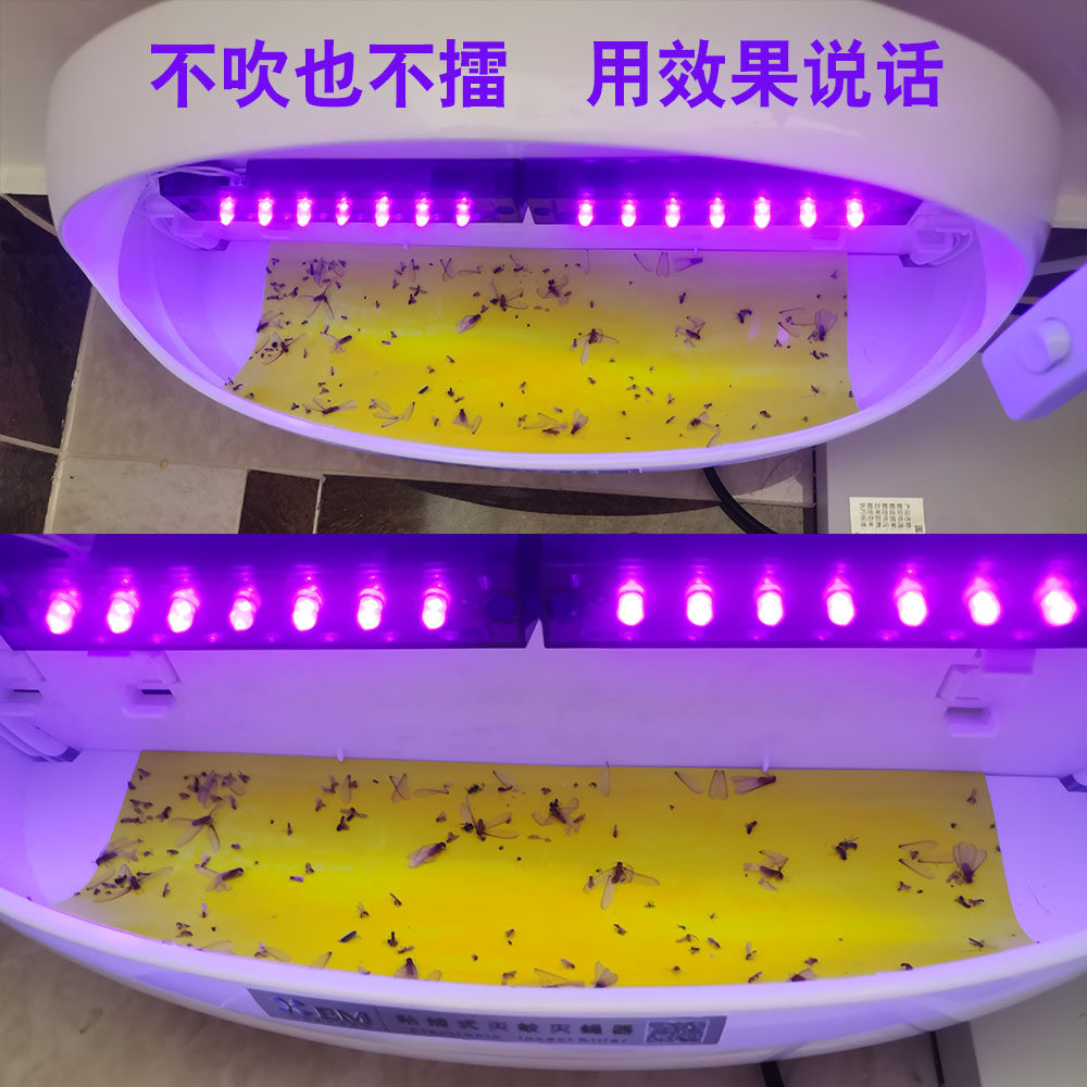 SMALL AND BEAUTIFUL SILENT ENVIRONMENTAL PROTECTION LED STICKY MOSQUITO KILLER LAMP FLY TRAP ARTIFACT RESTAURANT HOTEL SPECIAL PURPLE LIGHT MOSQUITO FLY LAMP