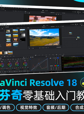 达芬奇18零基础入门教程DaVinci Resolve18调色剪辑特效后期课程