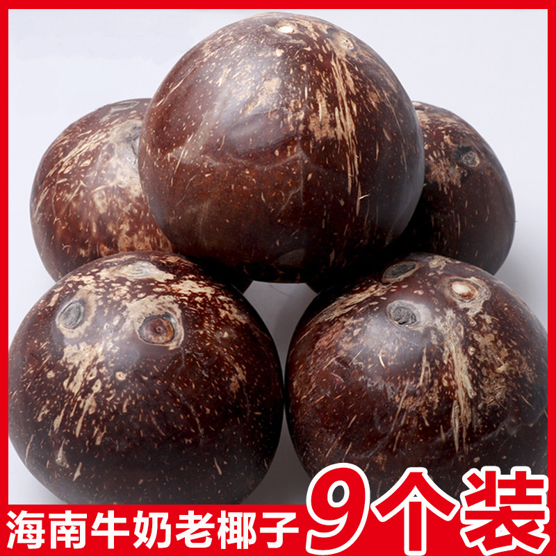 海南椰子皇椰王牛奶老椰子9个超厚椰肉炖鸡汤榨汁椰奶冻现摘大果