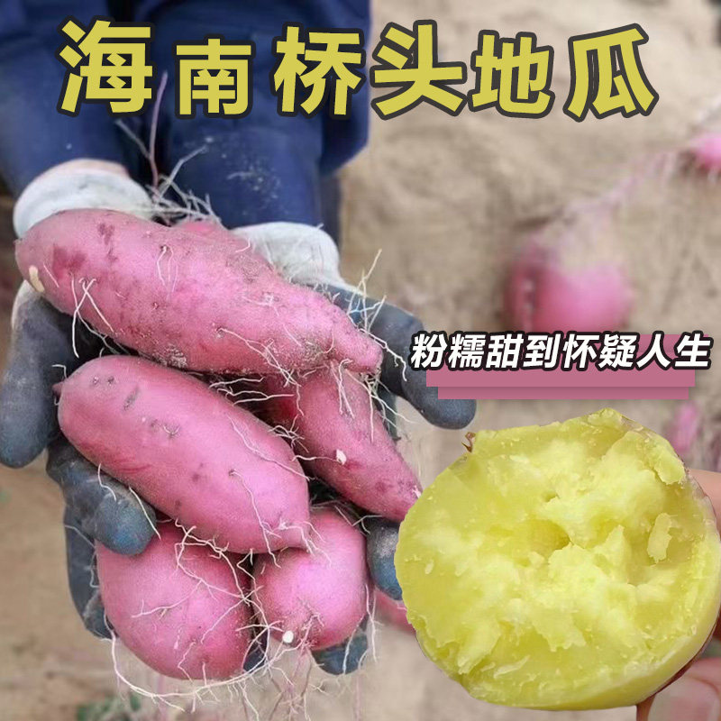 海南澄迈桥头地瓜粉糯板栗味