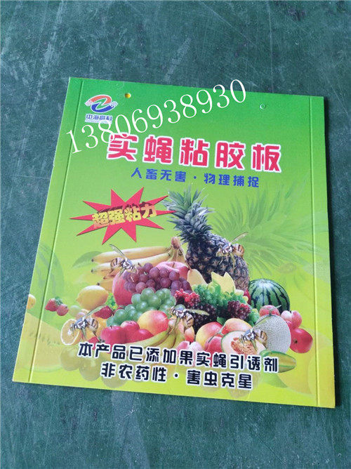 1000张中海高科实蝇黏胶板中海高科实蝇粘胶板,农机/农具/农膜,植保机械,淘宝优惠券,粉丝福利购,淘宝优惠卷
