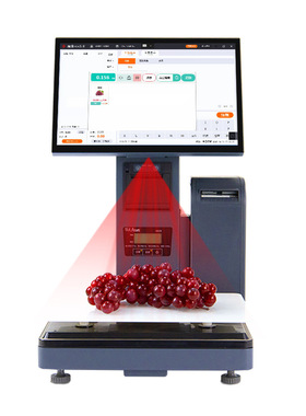 AI智能秤电子收银一体秤水果生鲜超市带称重pc收银机电子秤