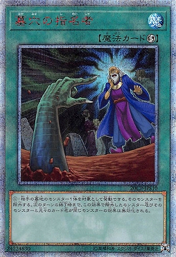 蓝海N/SR/UR/PR/CR/UTR/SER/ESR/金碎QCSER红碎20SER墓穴的指名者