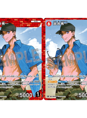 蓝海DCCG名侦探柯南卡牌B02058P红R/RP角色卡0221全图闪赤井秀一