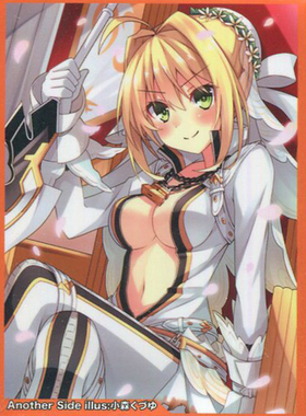 【蓝海卡牌】FateEXTRA FGO红saber型月赤王尼禄C90会场限定卡套