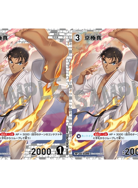 蓝海日文DCCG名侦探柯南卡牌B02042白R/RP角色卡0209全图闪京极真