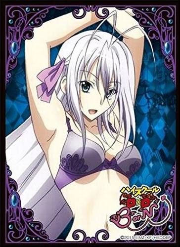 恶魔高校DXD BorN HighSchool DxD 洛丝维亚瑟 罗丝薇瑟 卡套 - 封面