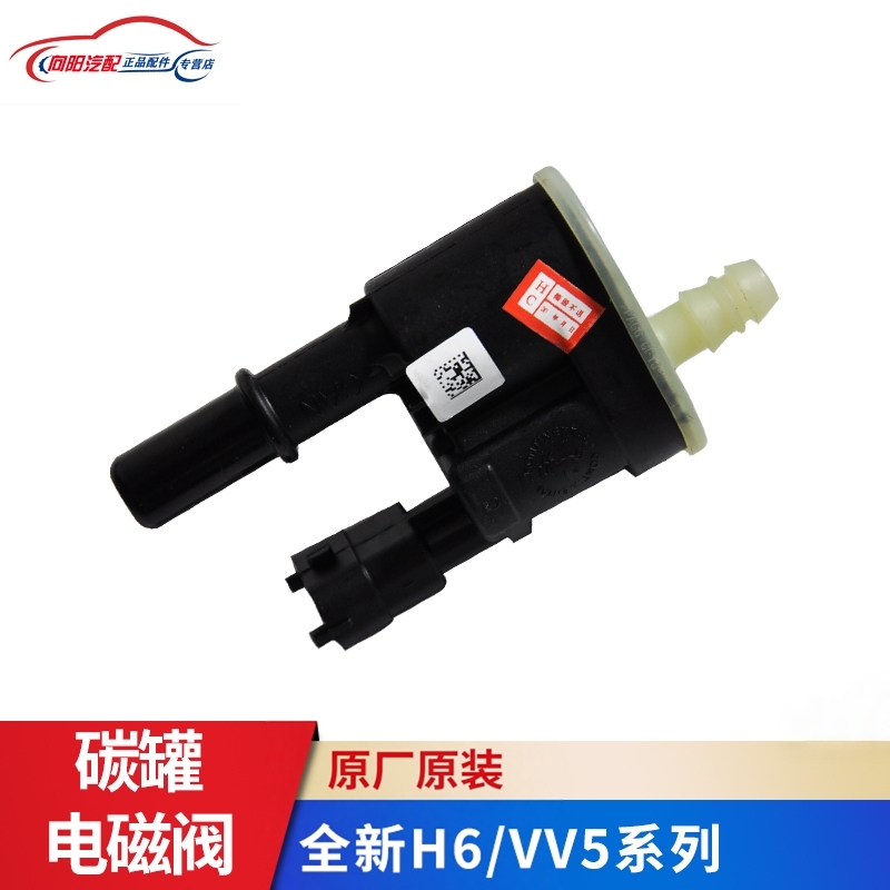助坤碳罐电磁阀国6专用