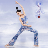 壁虎瑜伽服套装 高弹印花健身背心吊带显瘦青花幽梦高腰直筒喇叭裤