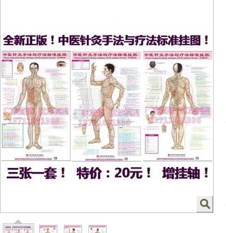 中医针灸手法与疗法标准挂图!三张一套 特价20元