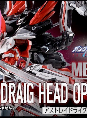 万代魂模型 PB MB METAL BUILD Ddraig 红龙 异端 头部 红色 配件