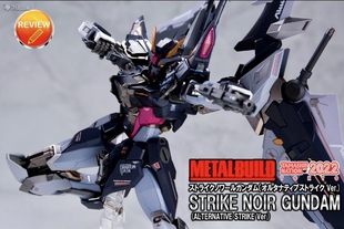 万代魂 模型 会场MB 漆黑强袭高达 黑猫 SEED ALTERNATIVE STRIKE