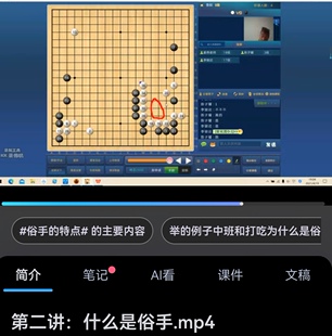 围棋教学视频课正着与俗手共10讲同恒围棋职业棋手鲁毅讲解2k到5d