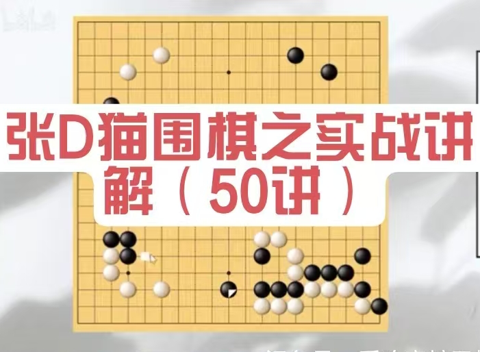 围棋视频课张D猫实战讲解中盘实战讲解专题全套共48讲