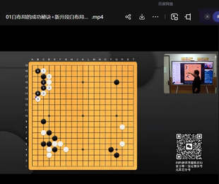 围棋视频课2025年1月赛前冲刺营爱棋道爱张一鸣白布局