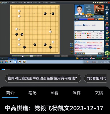 围棋职业R老师亲授高段棋谱细讲视频课114课职业棋手对局深度解读
