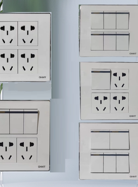 正泰开关插座118/120型5F白色幻银五孔二十孔三四五六开双控开关