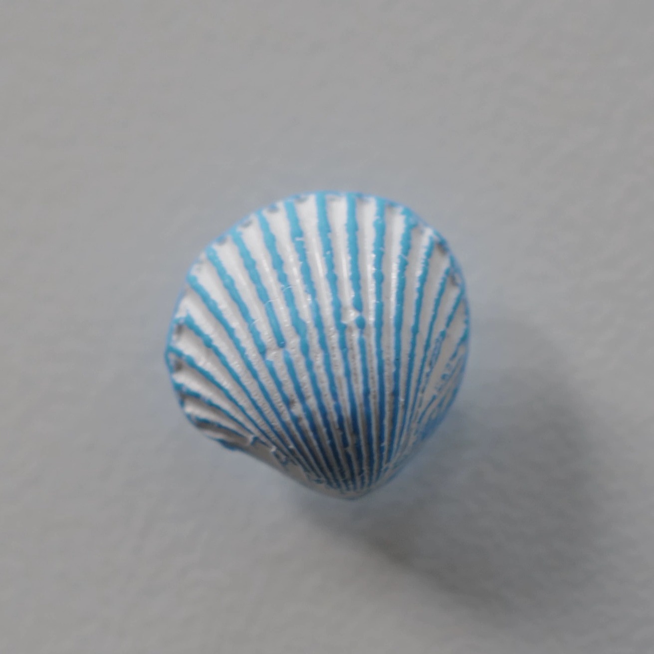 浅蓝底白色线条立体贝壳造型纽扣