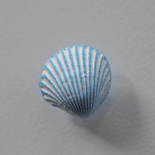 浅蓝底白色线条立体贝壳造型纽扣