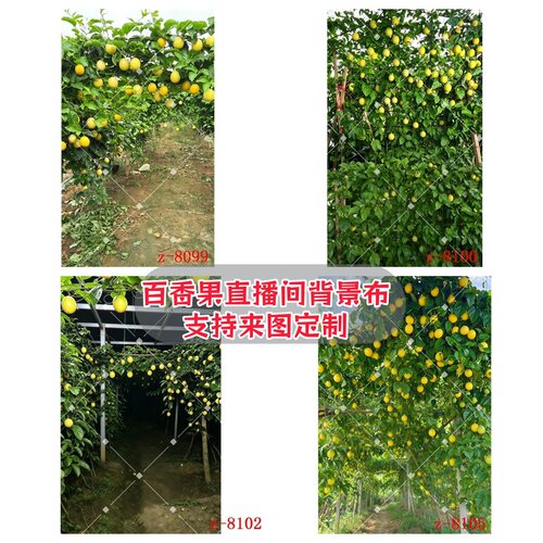 百香果果园3D喷绘背景布带货背景