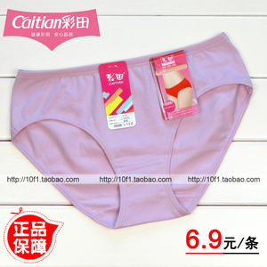 4条起包邮【正品】彩田213 纯棉 纯色 透气 低腰三角 女士内裤