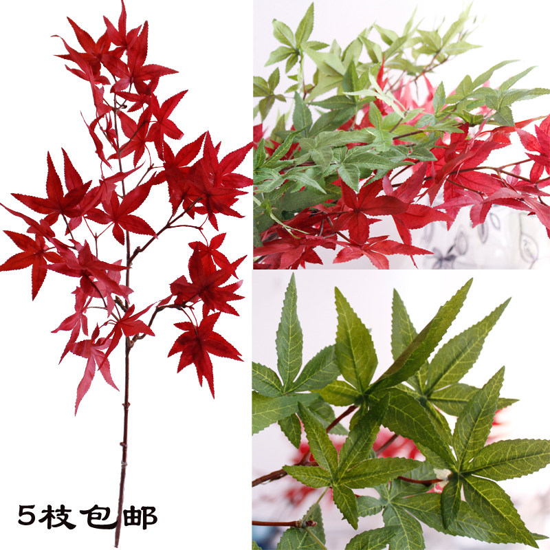 gules Acer palmatum Japan Red Maple Leaf bonsai Botany Leaf decorate Flower art high-grade simulationin the Home accessories , Vase/Flower/Artificial flowers/Imitation jewelry , Artificial flowers/Artificial flower  category - from Buy2taobao.com to provide professional Taobao agent buy service