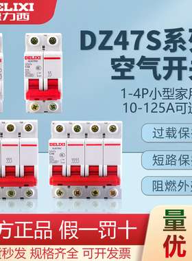 德力西空气开关2P家用63a空开1p断路器3p小型32a三相电c40总闸100