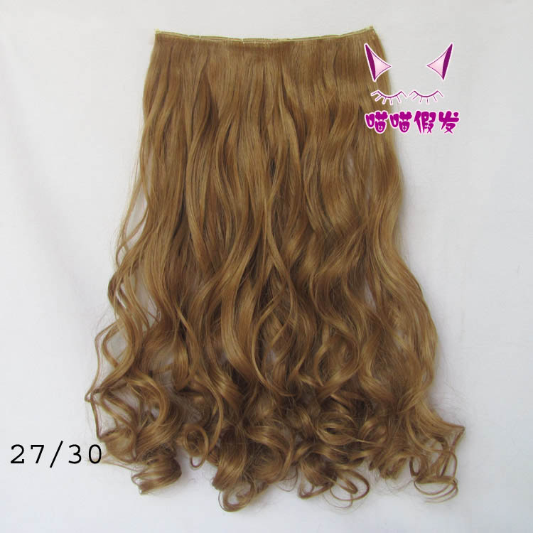 Extension cheveux - Ref 220408 Image 1