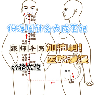 穴位彩色资料打印A4笔记倪师针灸大成笔记本