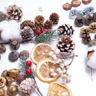 【youyier】圣诞节松针松果手工材料包圣诞树氛围感干果装扮插枝