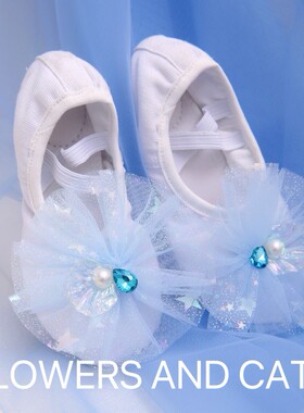 【Flowers and cats】蓝蝴蝶芭蕾舞蹈鞋女软底简约儿童芭蕾鞋女童