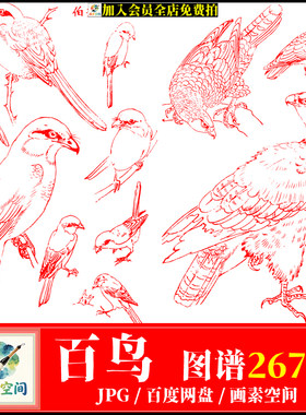 百鸟图谱素材花鸟画谱工笔白描电子版国画花鸟参考百鸟线描源文件