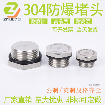 304不锈钢防爆堵头M20M25G1/2NPT