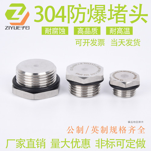304不锈钢防爆堵头M20M25G1/2NPT