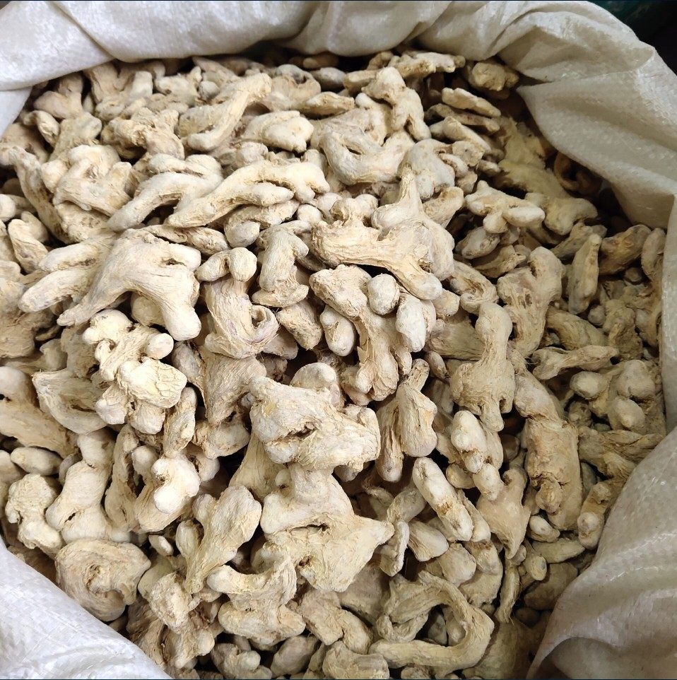 干姜个500g克新货无硫老姜个香辛料/干调类