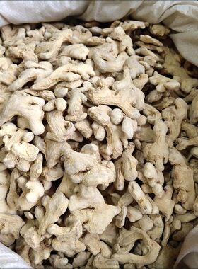 干姜个500g克新货无硫老姜个土姜云南生姜粉小黄姜泡茶中药材250g